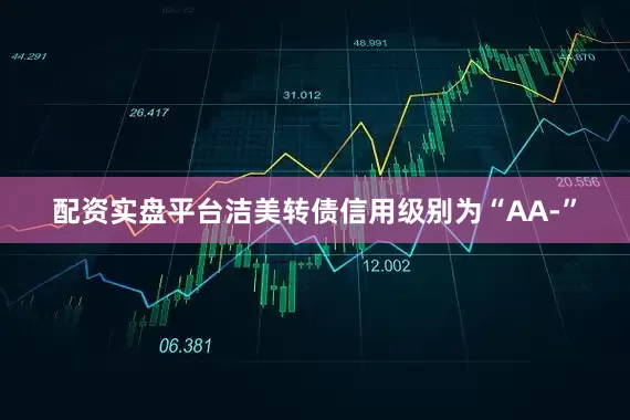 配资实盘平台洁美转债信用级别为“AA-”