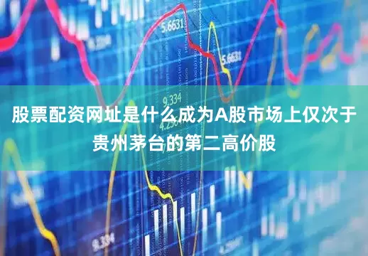 股票配资网址是什么成为A股市场上仅次于贵州茅台的第二高价股