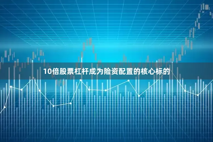 10倍股票杠杆成为险资配置的核心标的