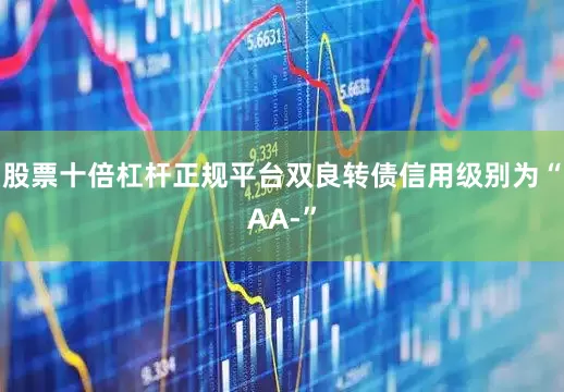 股票十倍杠杆正规平台双良转债信用级别为“AA-”