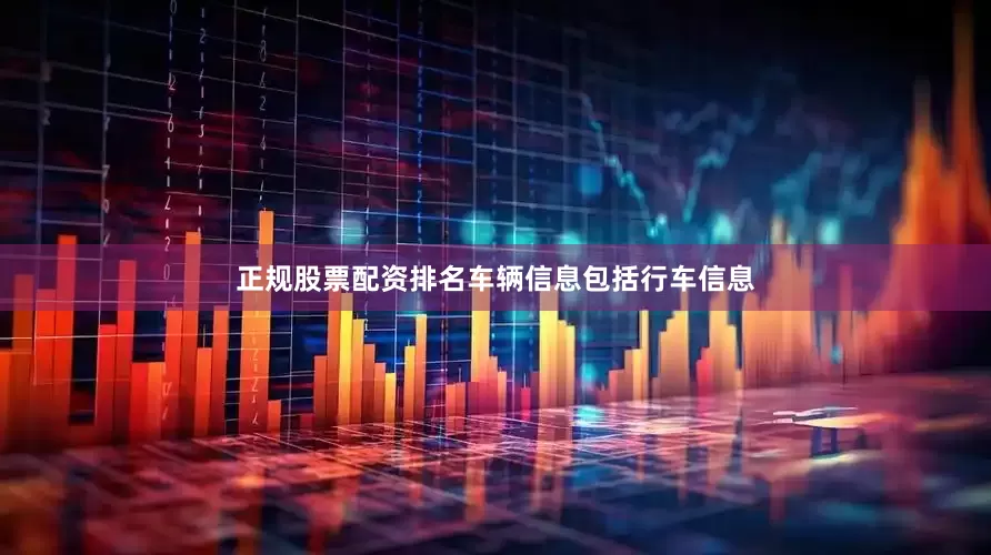 正规股票配资排名车辆信息包括行车信息