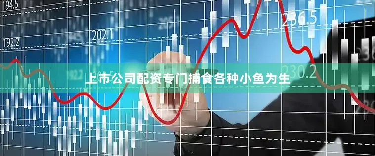 上市公司配资专门捕食各种小鱼为生