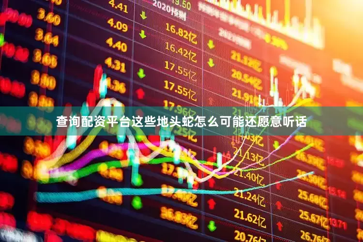 查询配资平台这些地头蛇怎么可能还愿意听话
