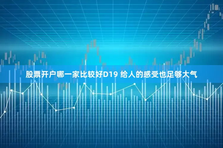 股票开户哪一家比较好D19 给人的感受也足够大气